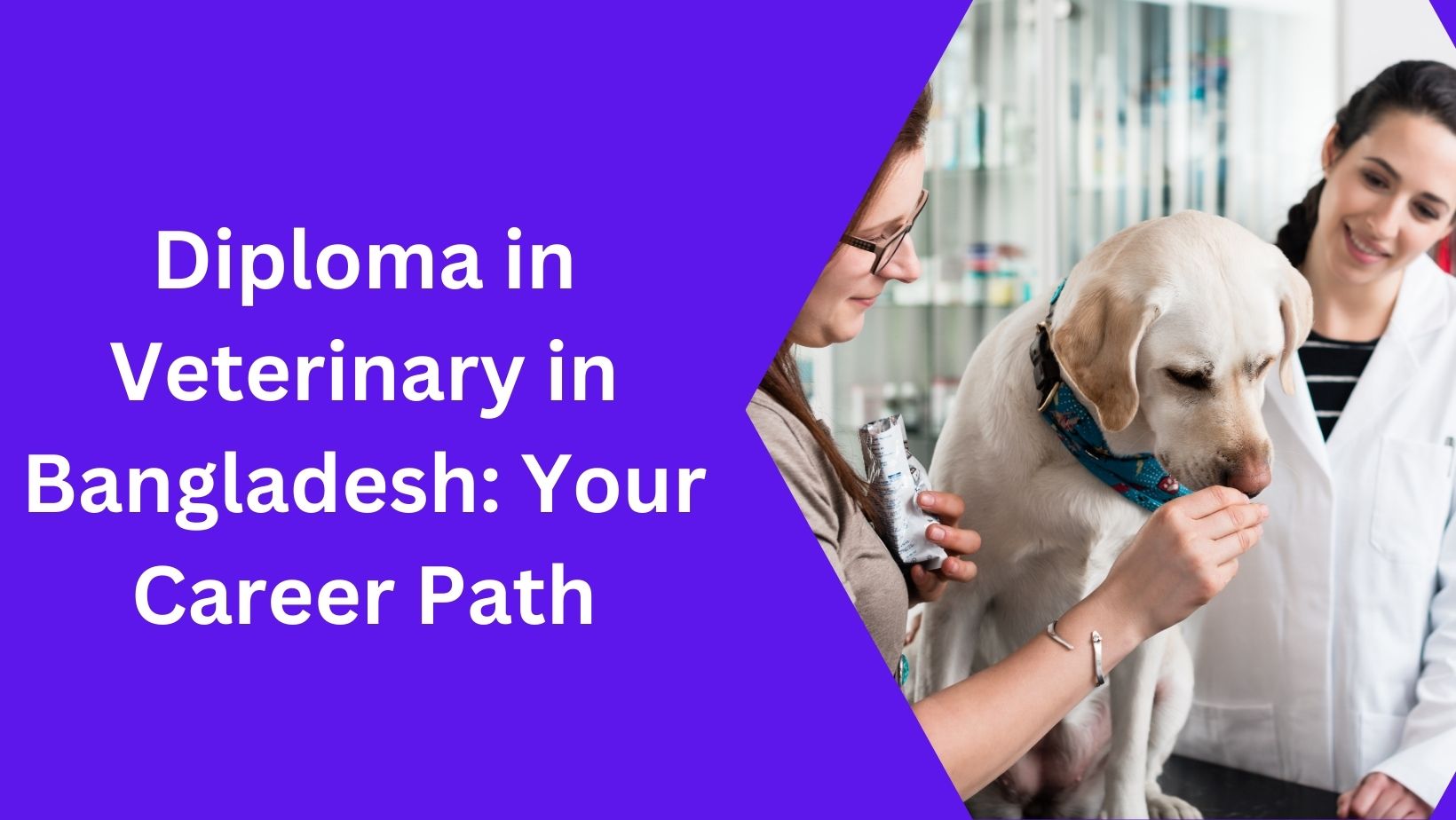 Diploma in Veterinary in Bangladesh: Your Career Path